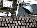 Thumbnail for version as of 11:29, 8 March 2006